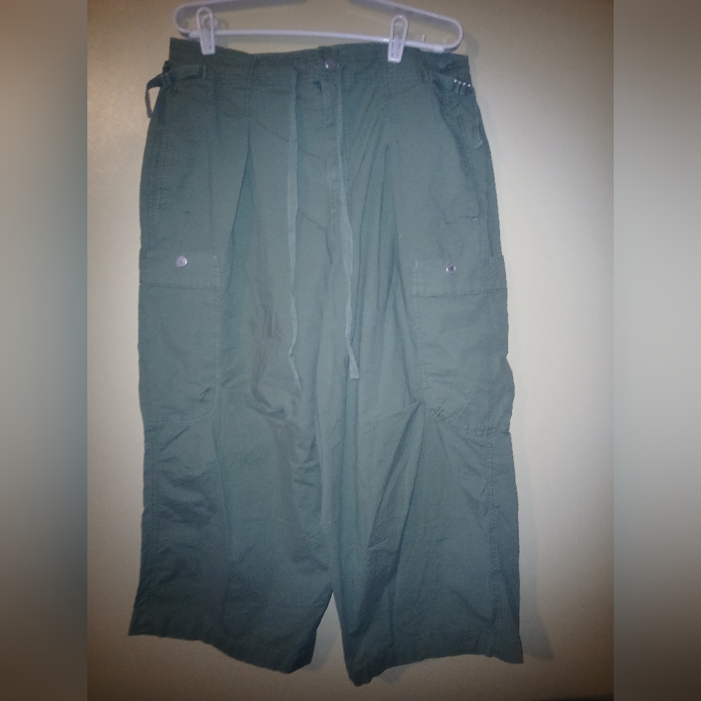 Anthropologie Pilcro Barrel Pants.